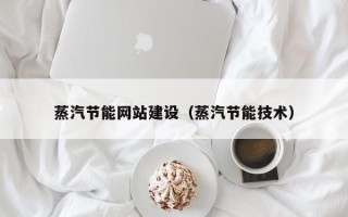 澧县蒸汽节能网站建设（蒸汽节能技术）